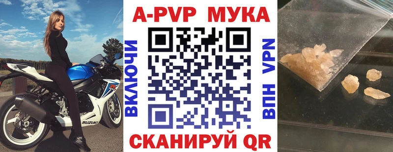 Альфа ПВП СК  МЕГА tor  Сосновый Бор 