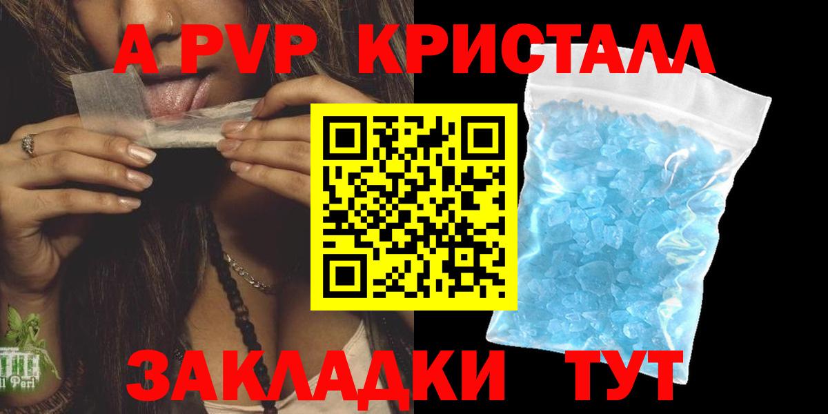 Alfa_PVP СК Сосновый Бор