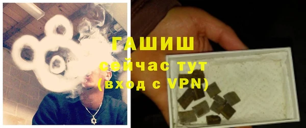 тгк Абаза