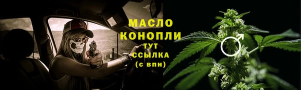 тгк Абаза