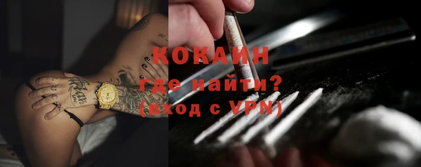 тгк Абаза