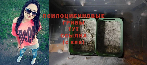 СК Абдулино