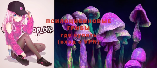 тгк Абаза