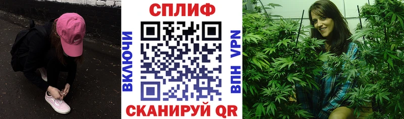 закладка  Сосновый Бор  Канабис конопля 