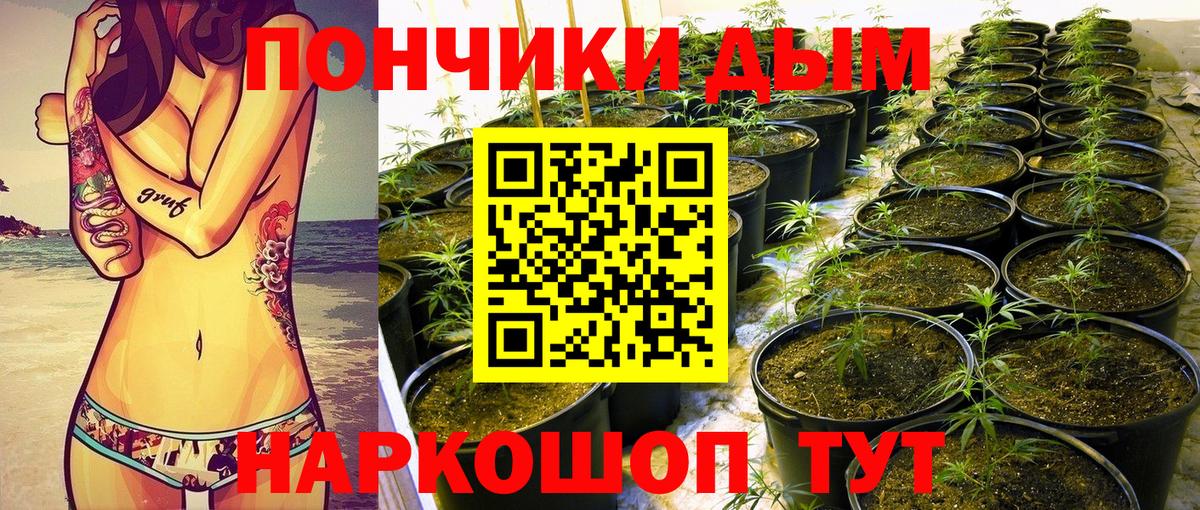 Каннабис марихуана  Каннабис Amnesia  Сосновый Бор  Шишки марихуана конопля  Конопля SATIVA & INDICA  Вход с VPN 
